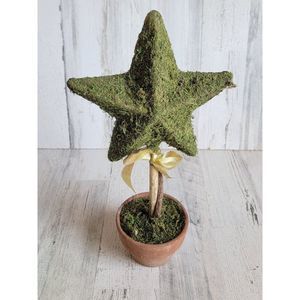 Unique star-shaped Bush plants home decor pot garden bow